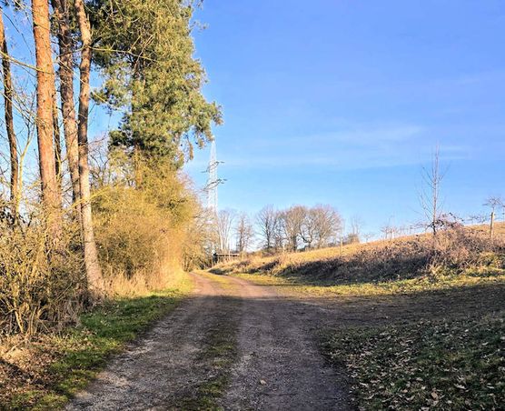 natur3